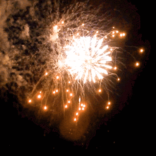 Gif animé feux d'artifices 220